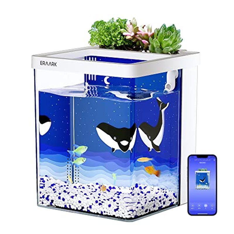 Eraarkミニ水槽 アクアリウム 小型水槽セット 熱帯魚 メダカ飼育セット 金魚鉢 Bluetoothに対応したスマートな水槽 Ledライ Prior 通販 Yahoo ショッピング