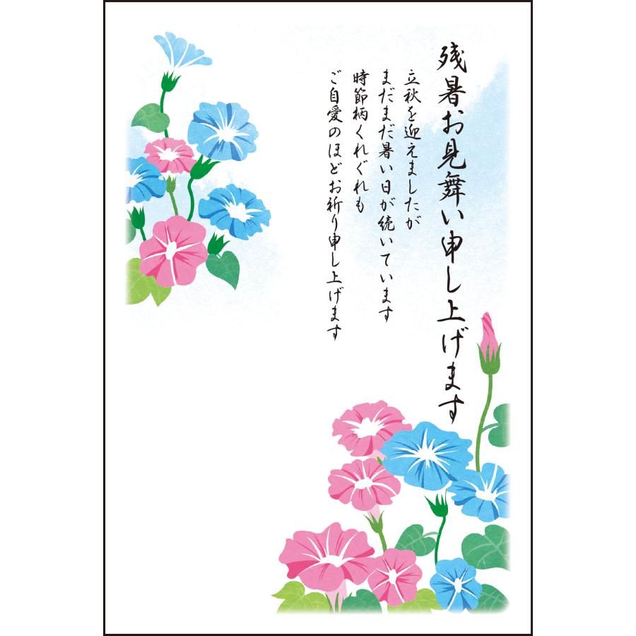 残暑見舞いはがき ポストカード 4枚入 赤と青の朝顔 お求めやすく価格改定 郵便はがき