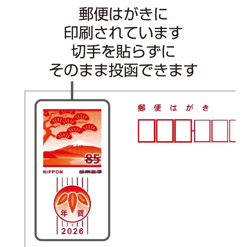 Pokemon（ポケモン） 令和8年(2026年)用 午年 パック年賀状 (3枚入り