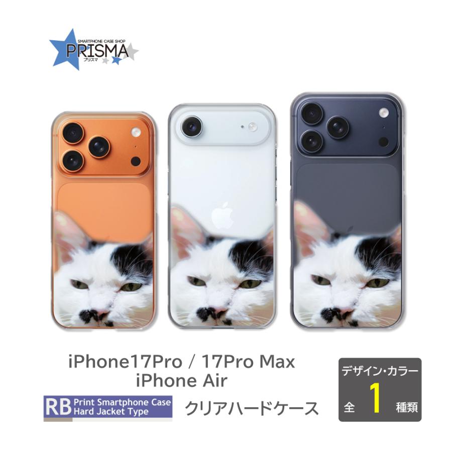 iPhone 11 専用 オレンジ猫ケース 楽天市場】【P20倍！まもなく終了】iPhone 11 Pro ケース 猫の柄