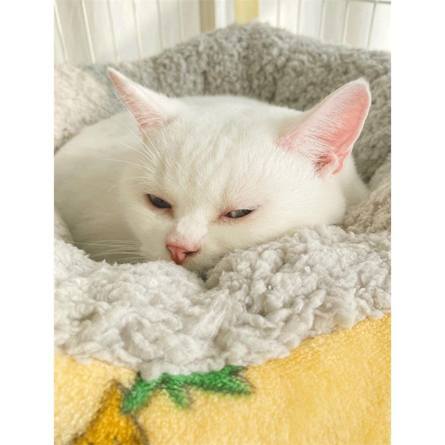 ケージ用 ハンモック キャットハンモック 厚手 もこもこ 猫 フック付き 吊り下げ あったか 猫 ペットハンモック ねこ キャットベッド |  | 07