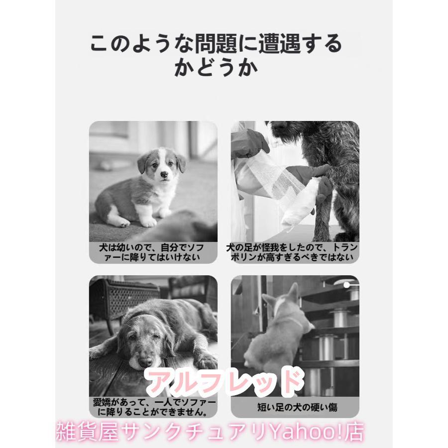 ドッグステップ 2段 3段 4段 ソファー 階段 犬 猫 洗える ペットステップ ドックステップ 犬用階段 犬用 段差 ソファ |  | 06