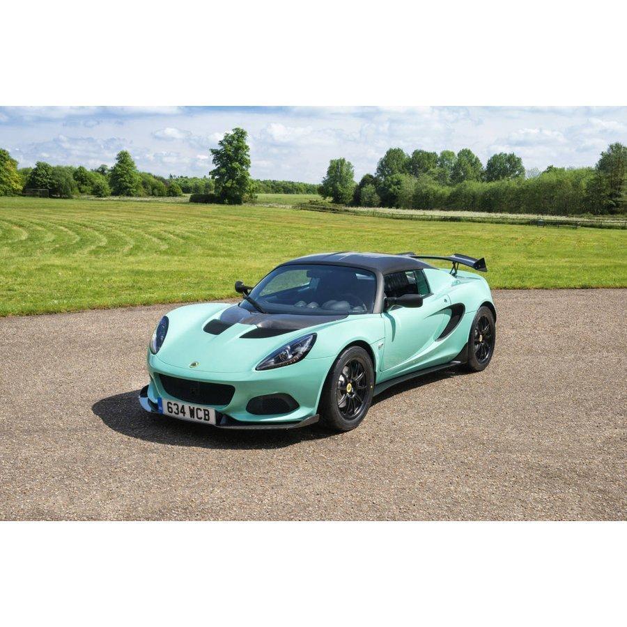 LOTUS ELISE S2 S3 CUP STYLE GTウイングカーボン/FRP製ステー/FRP製土台(98475円)
