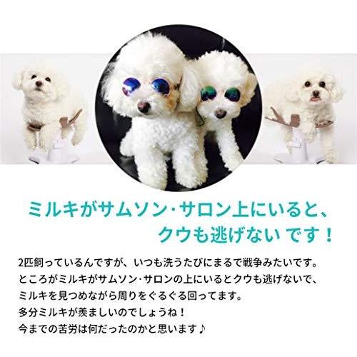 サムソンサロン Samson Salon 犬 猫 ドッグフード トリミング トリマー バリカン 美容院 動物病院 ペット フード シ 