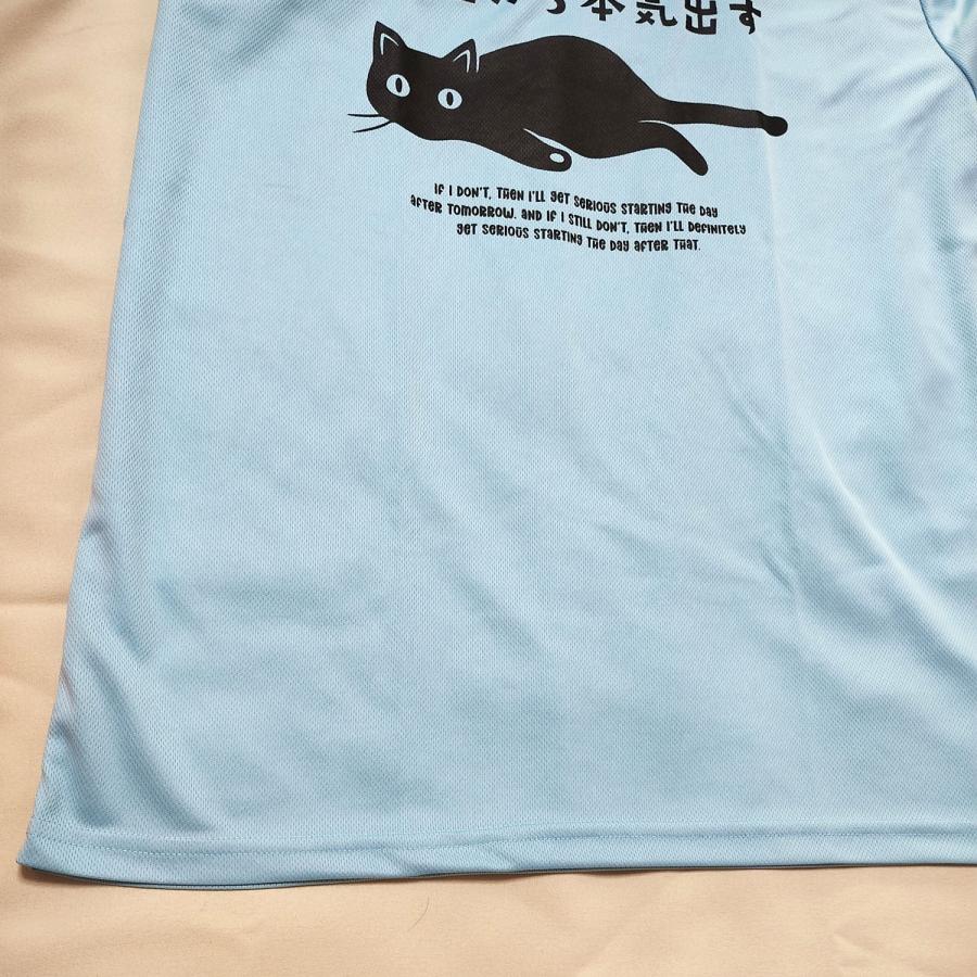 3 猫 ネコ cat 半袖Tシャツ メンズ トライメッシュTシャツ おもしろ パロディ |  | 03