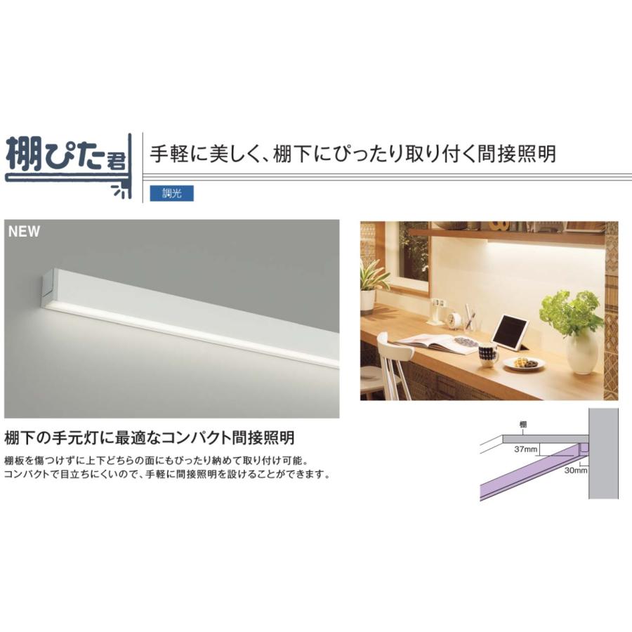 大光電機 間接照明 DBK42004AG 温白色 工事必要 : プリズマヤフー店