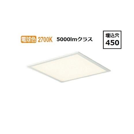 大光電機 埋込型ベースライト DBL5453YWG 工事必要