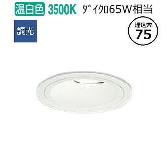 大光電機 屋内・屋外兼用グレアレスユニバーサルダウンライト
