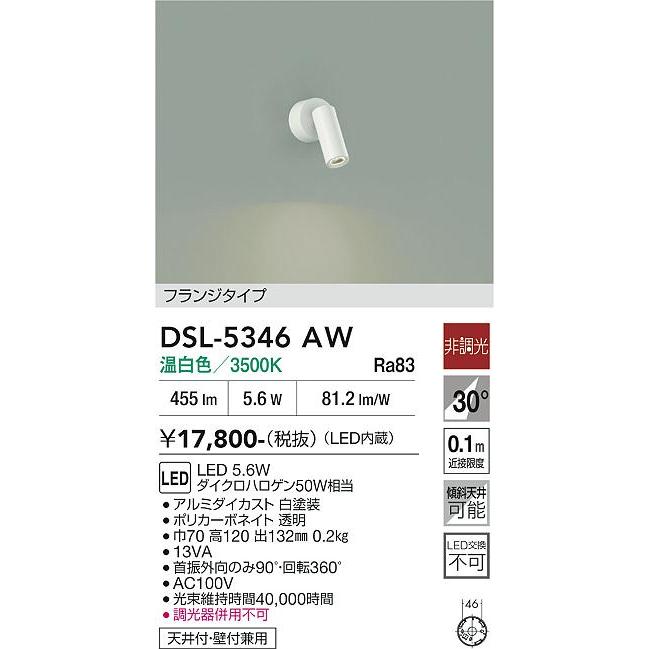 大光電機 直付型スポットライト 屋内用 DSL5346AW 工事必要 : プリズマ