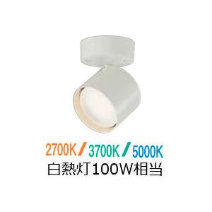 大光電機 スポットライトDSL5587FWG 3色温度切替 工事必要 : プリズマ