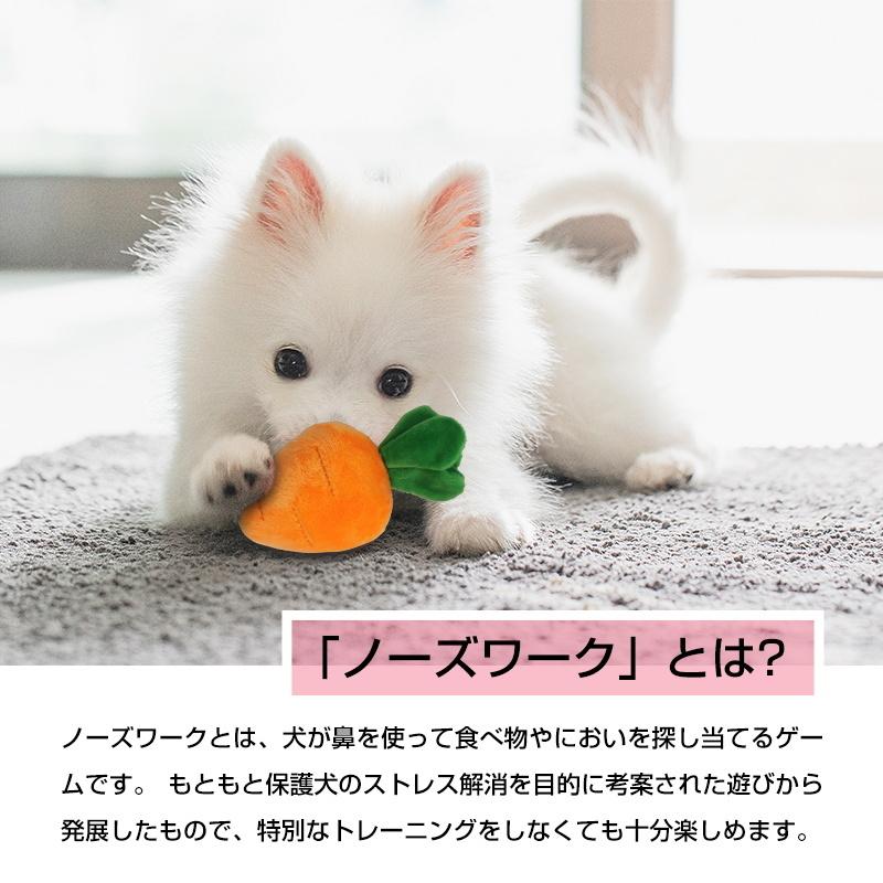 73 Off ノーズワーク 犬 にんじん ペットおもちゃ ペット用品 知育玩具 ぬいぐるみ 人参 Snsで大人気 いぬ 猫 ねこ 激安 遊び場所 運動不足 嗅覚訓練 犬歯磨き可愛い Whitesforracialequity Org