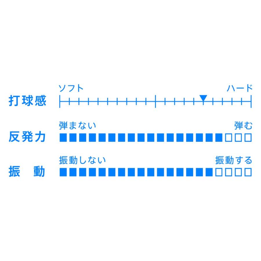 VICTAS(ヴィクタス) ZX-GEAR INの画像