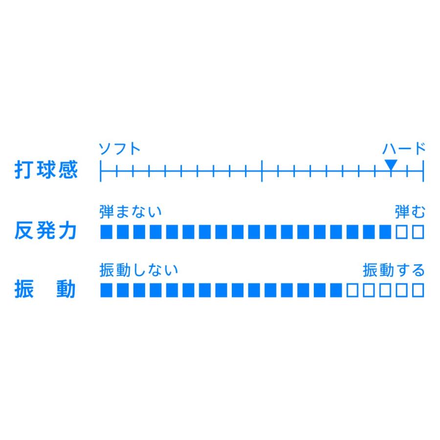 VICTAS(ヴィクタス) ZX-GEAR OUTの画像