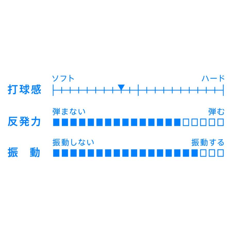VICTAS(ヴィクタス) ZX-GEAR FIBER : プロエース - 通販 - Yahoo