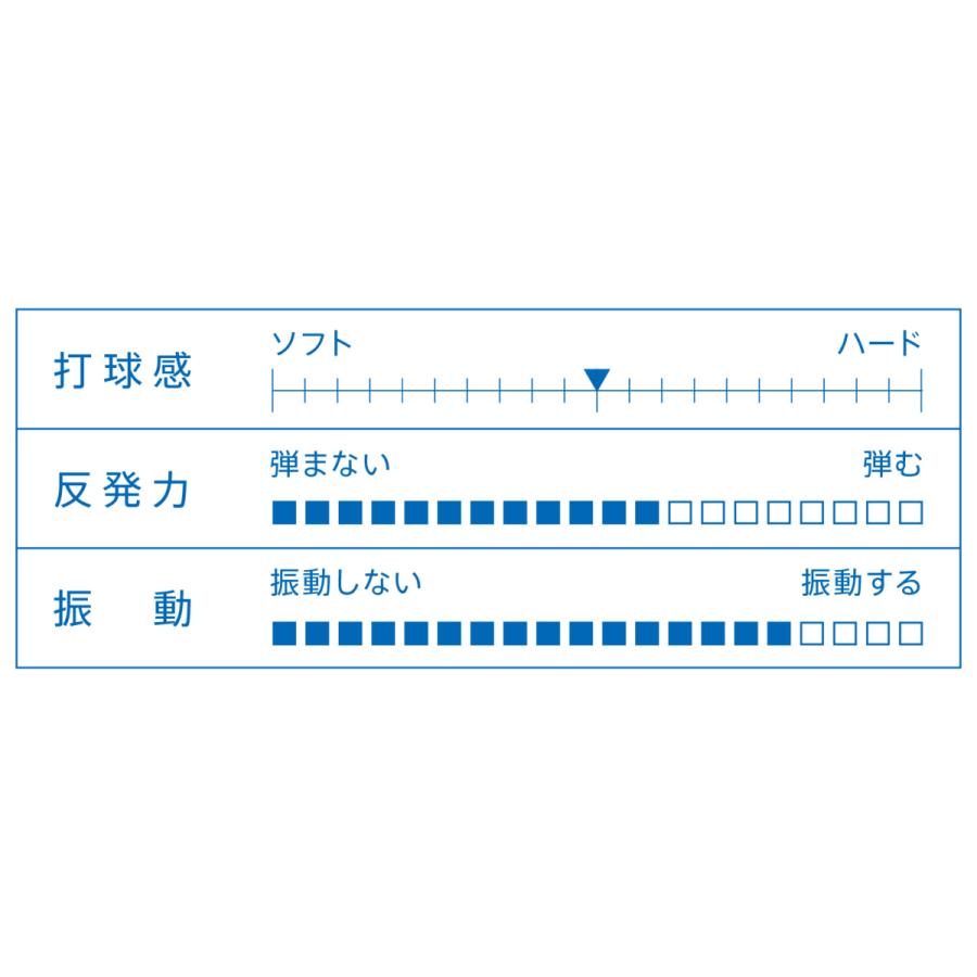 VICTAS(ヴィクタス) SWAT CARBON (310034-310035-310033) : プロエース