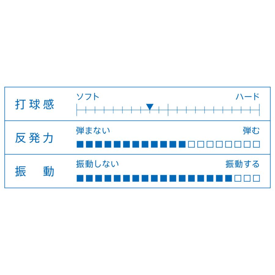VICTAS(ヴィクタス) SWAT (310004-310005-310008) : プロエース