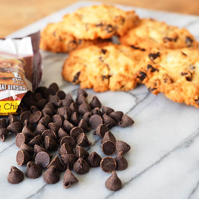 bushdebrunt ブラント brunt キッチンペーパー チョコチップ 夏季冷蔵 ハーシー セミスイート チョコチップ 340g : プロフーズYahoo