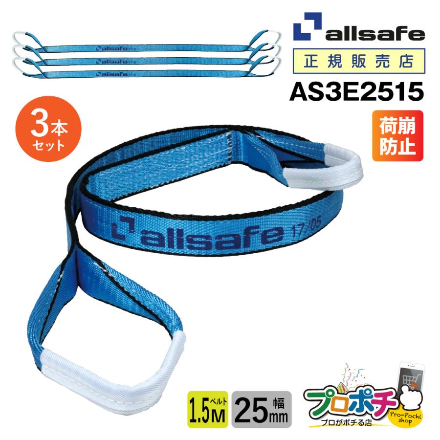 allsafe（オールセーフ） スリングベルト3本 長さ1.5m 幅25mm AS3E2515