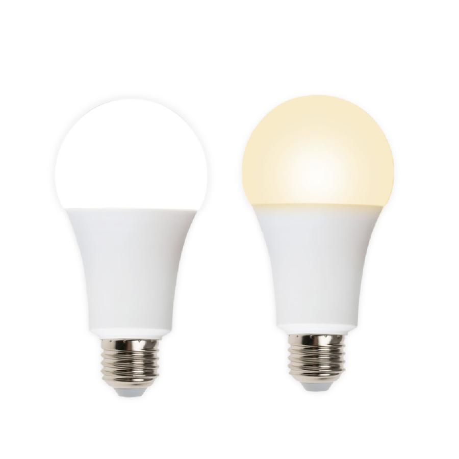 取寄品) R-LED60 マルチLED電球 防災対応 停電時自動点灯 非常用ライト