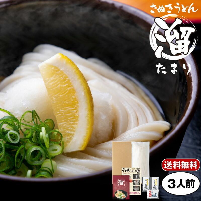 さぬきうどん「溜（たまり）」半生うどん 3人前 300g×1 つゆ付き｜pro-pochi