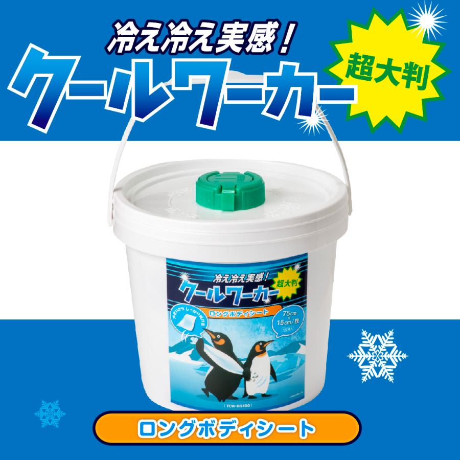 クールワーカー ロングボディシート 1缶100枚入（1600ml） 15cm×75cm/1