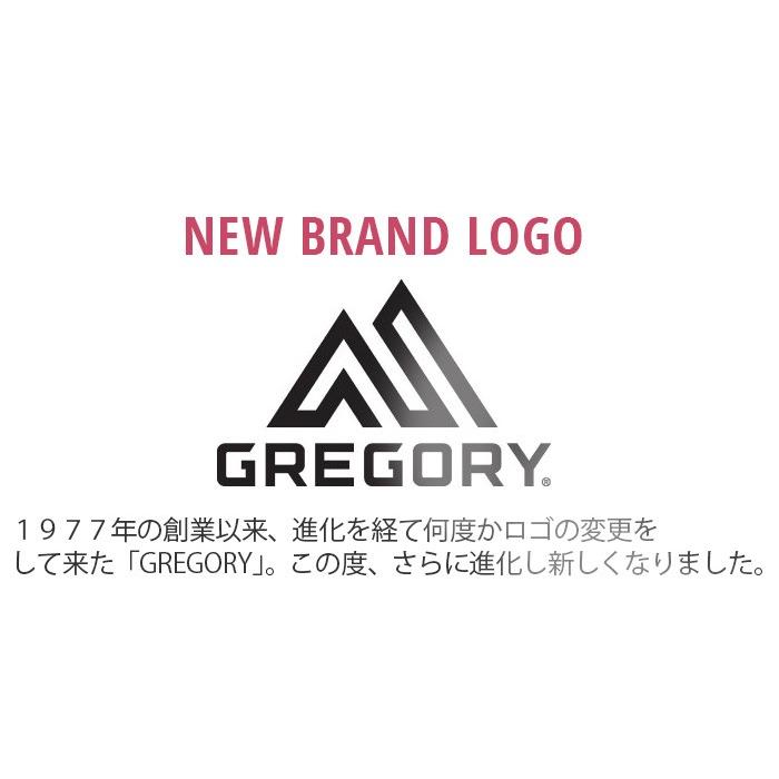 リュックサック グレゴリー GREGORY 18 アセンド グリッドデイ ASCEND GRID DAY デイパック バックパック メンズ レディース 男女兼用 ブランド ハーネス｜pro-shop｜21