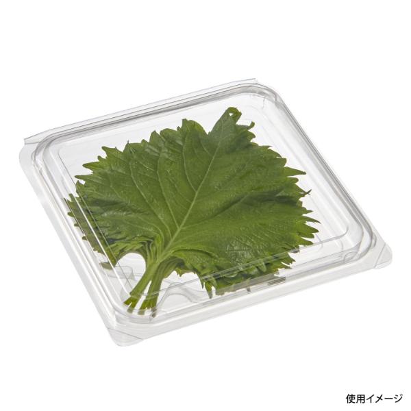 (1400セット) フルーツ容器 大葉パック 中央化学 00085195_1