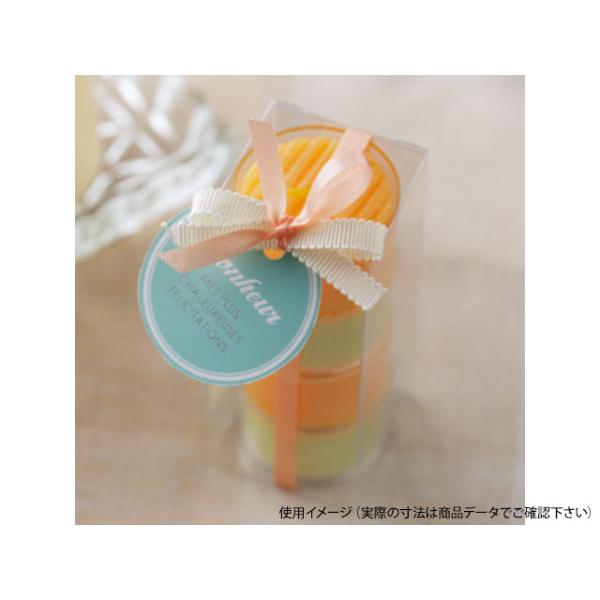 (300枚) ラッピング用品 ピュアケース PN7-5 大森 00142087_3