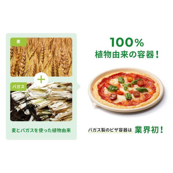 まとめ買い パックスタイル バガス容器 WBピザ 10インチ 300枚(50枚×6)の画像