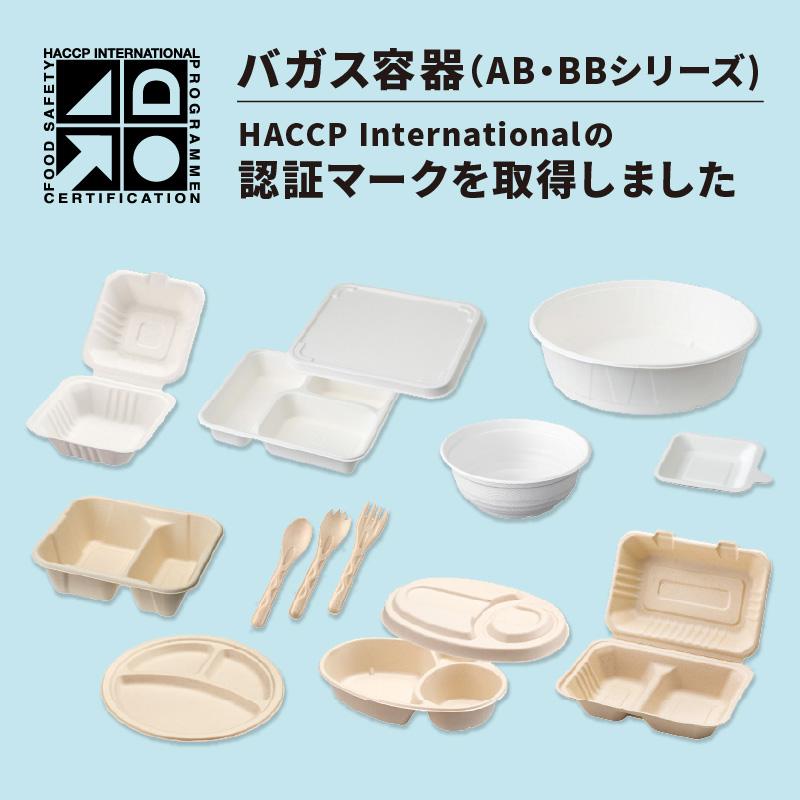パックスタイル バガス容器 | 新BBランチ 180-130 200-200-3 00675728