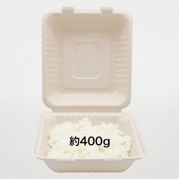 パックスタイル（PACK STYLE） まとめ買い バガス容器 BBランチ 200