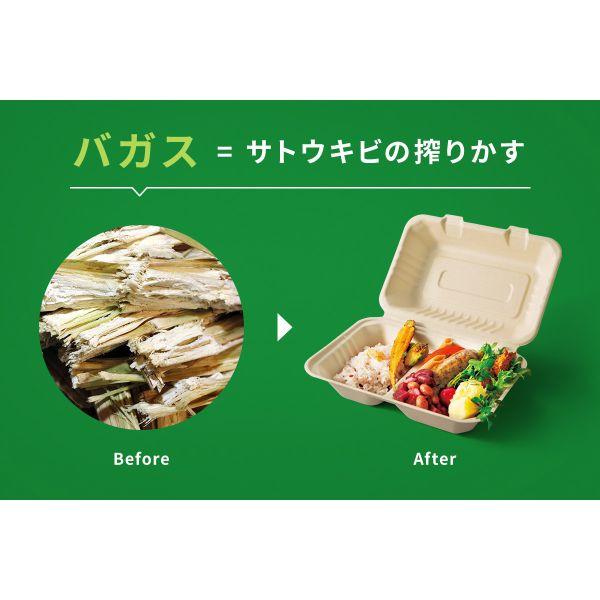 パックスタイル バガス容器 BBどんぶり D-1 ラミ（5枚入） 120枚(1枚×120)の画像