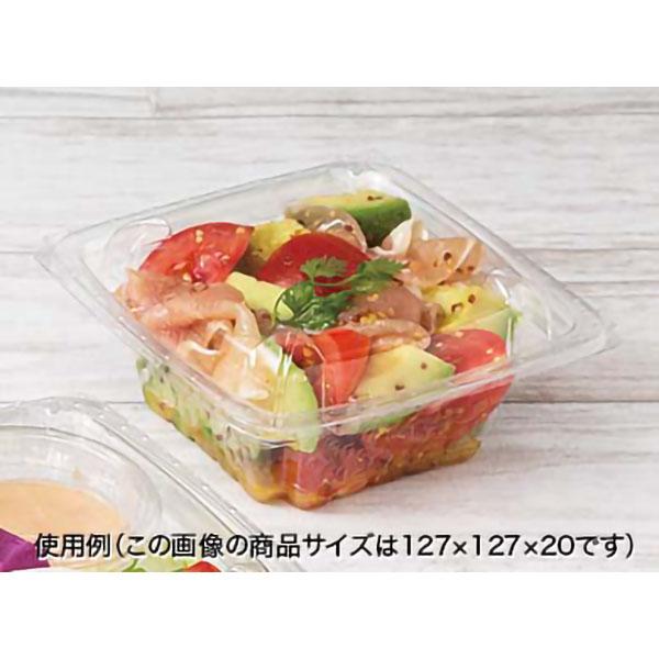 (900枚) バイオ ツブ13 OCIA 00706985の画像