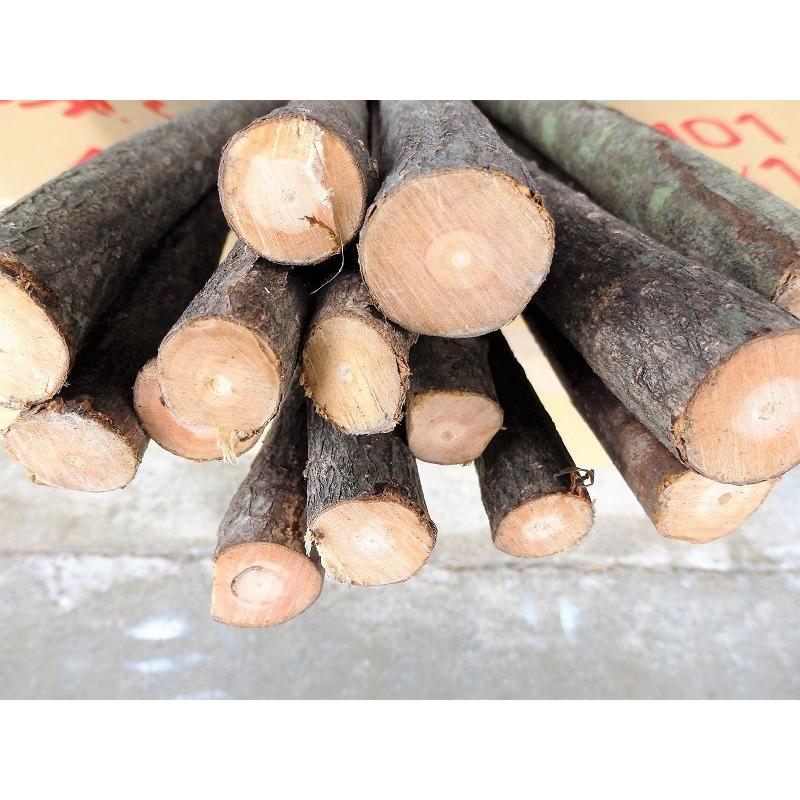 石屋玄能の柄 600mm 牛殺しの柄 自然木 １本 D00 1030a プロヤマ 通販 Yahoo ショッピング