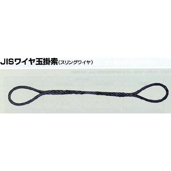 JIS 玉掛けワイヤー ロープ φ9mmｘ1m｜pro-yama｜02
