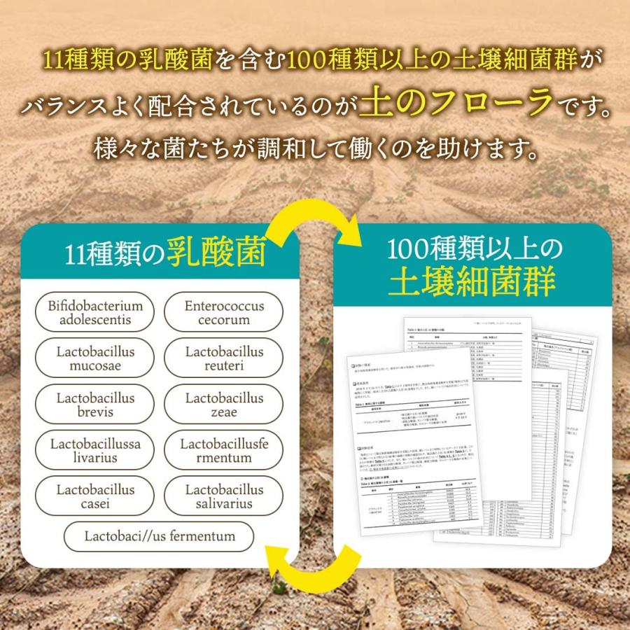 送料無料 土のフローラ 大豆 乳酸菌 土壌菌 サプリメント 11種の乳酸菌