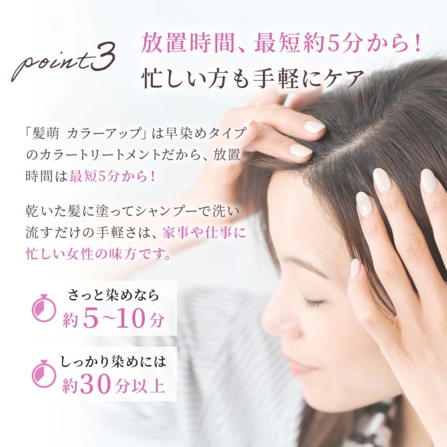 白髪染め トリートメント 髪萌 カラーアップ ヘアカラー 生え際 早染め