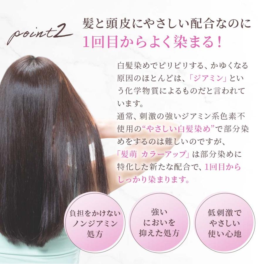 白髪染め トリートメント 髪萌 カラーアップ ヘアカラー 生え際 早染め