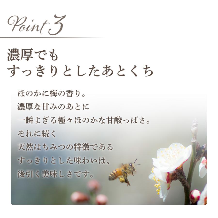 UU ニホンミツバチ 蜂蜜 濃厚 天然はちみつ お得な2個セット 国産 非
