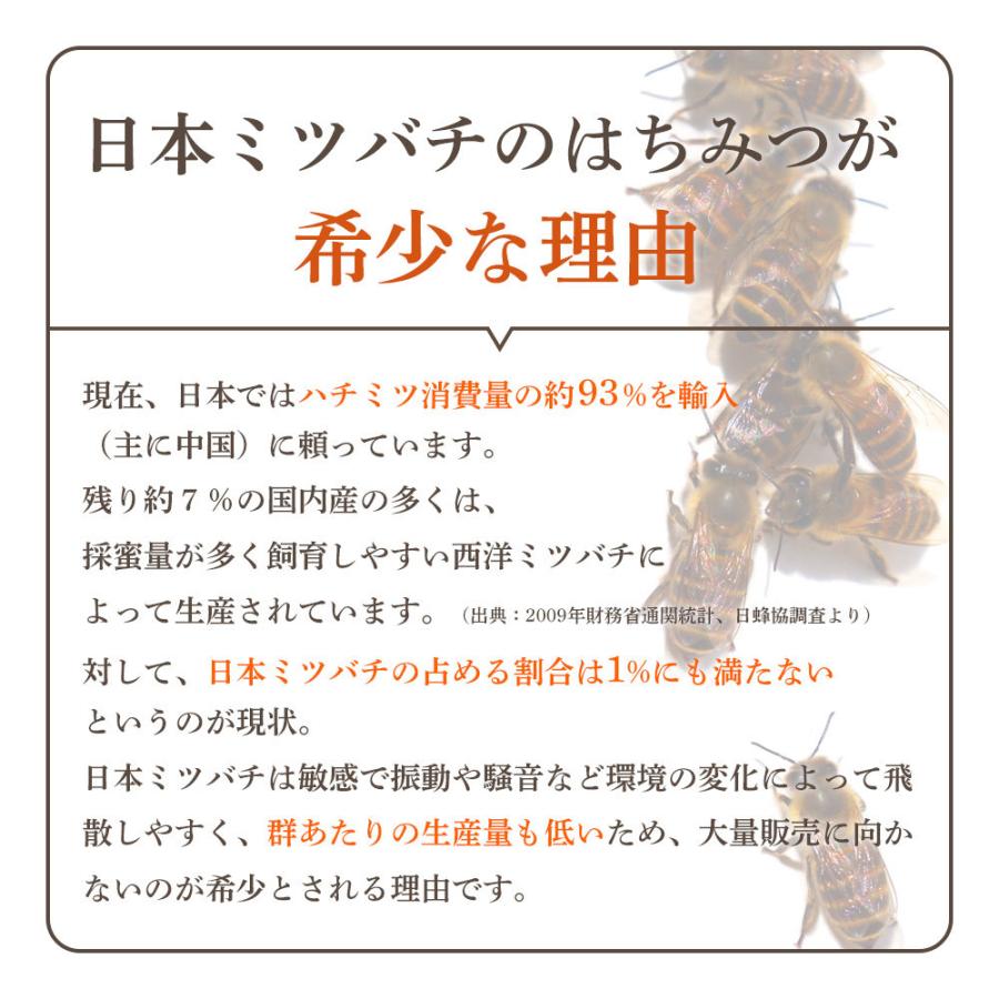 UU ニホンミツバチ 蜂蜜 濃厚 天然はちみつ 国産 非加熱 希少な