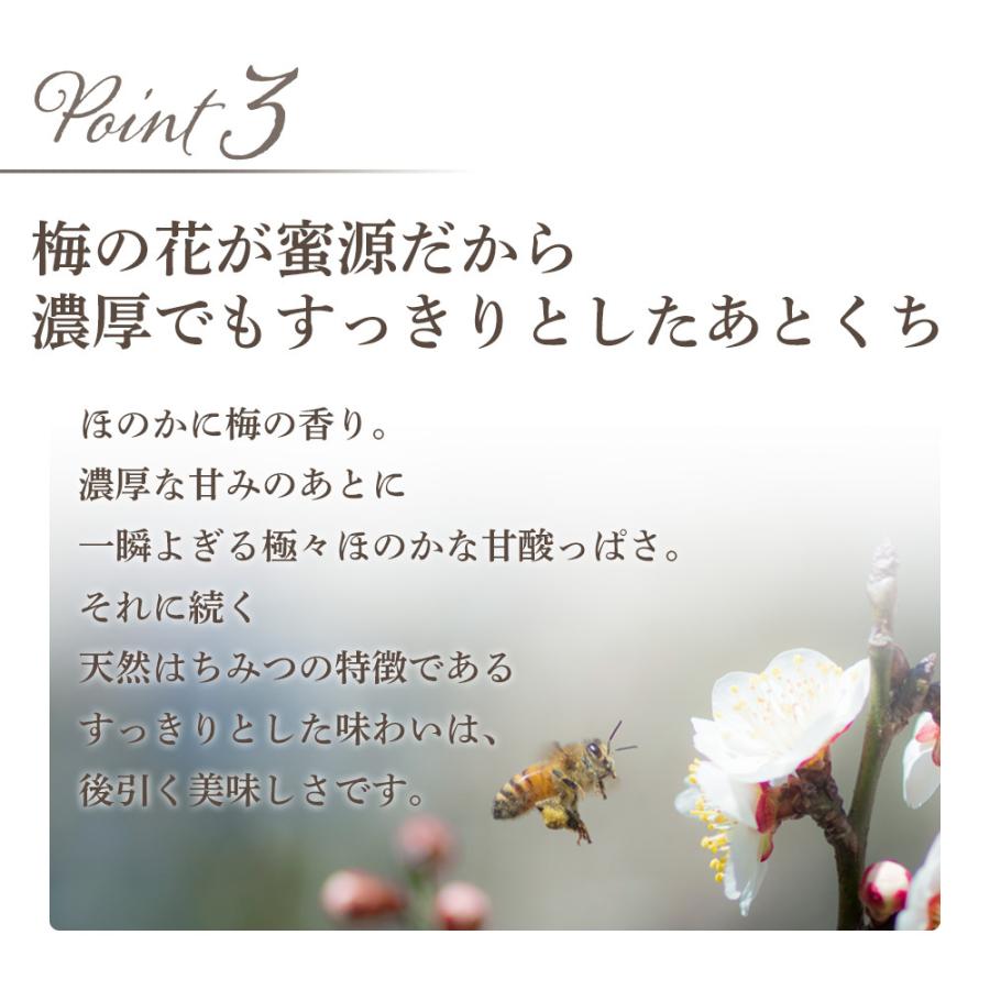 UU ニホンミツバチ 蜂蜜 梅の花の 濃厚 天然はちみつ 国産 非 UU ニホンミツバチ 蜂蜜 梅の花の 濃厚 天然はちみつ 国産 非