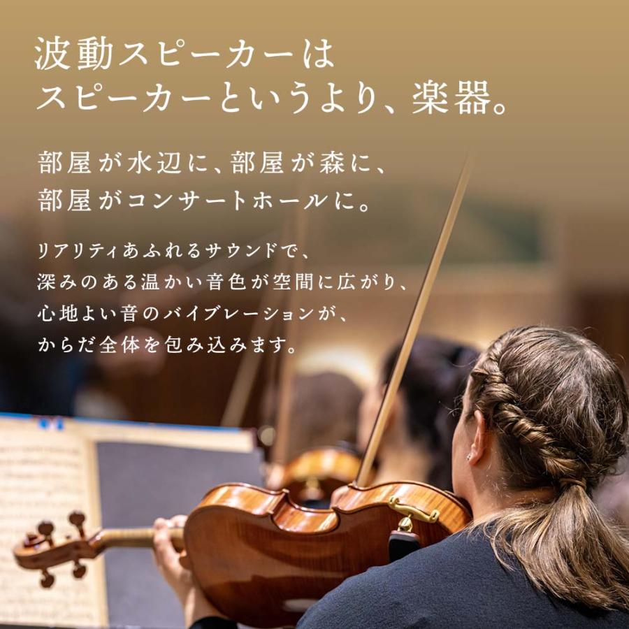 エムズ アンプ内蔵型波動スピーカー「スケルトン」新品未使用 メーカー