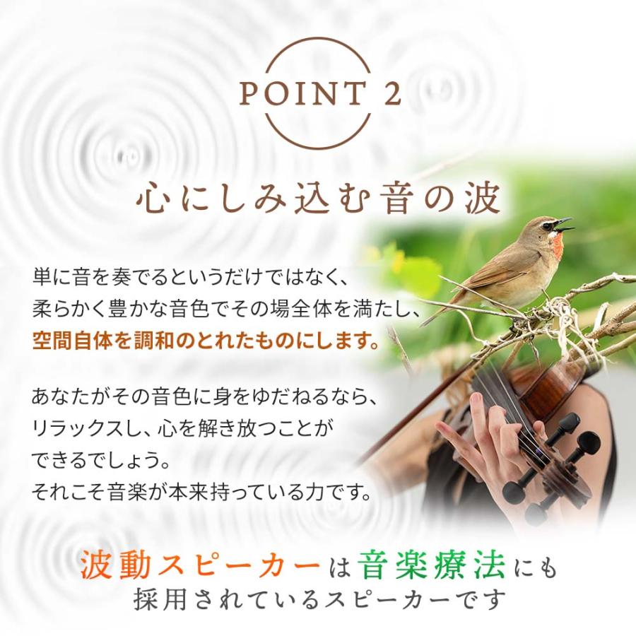 エムズシステム アンプ内蔵波動スピーカー ショコラ : イマココ