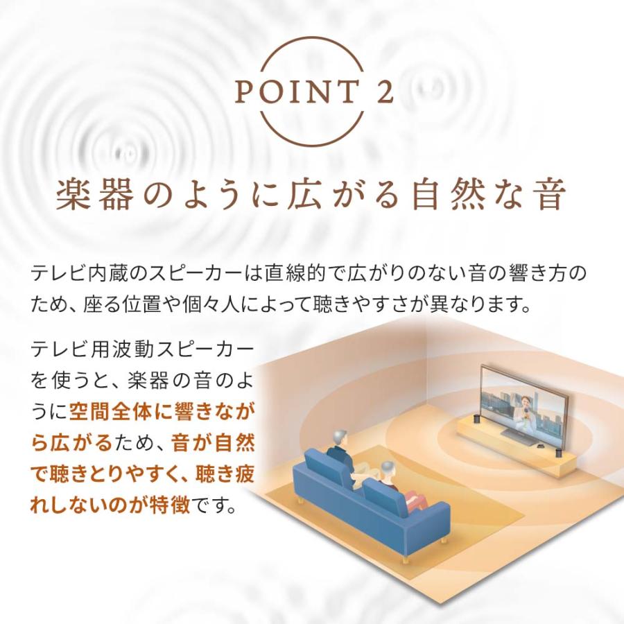 エムズシステム テレビ用波動スピーカー MTVS : イマココ・ストア