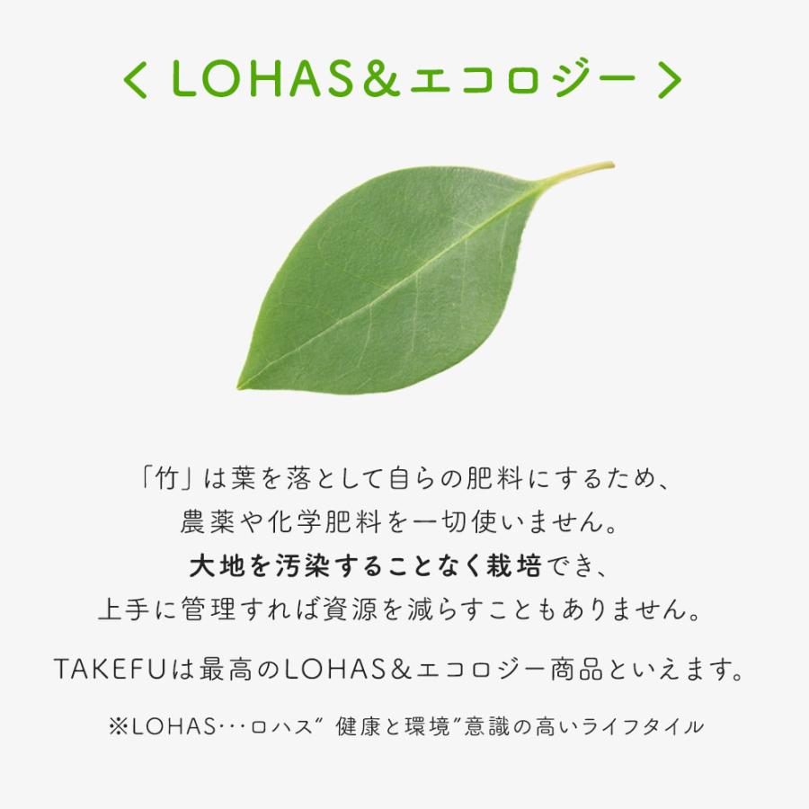TAKEFU コンフォートソフトブラ レディース インナー 竹布 オーガニック 天然繊維 たけふ ネコポス送料無料 | TAKEFU | 16