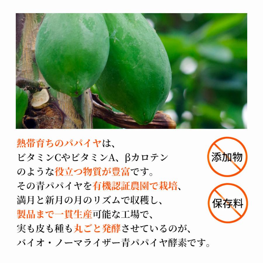 バイオ・ノーマライザー 青パパイヤ酵素（3g×30包） |  | 03