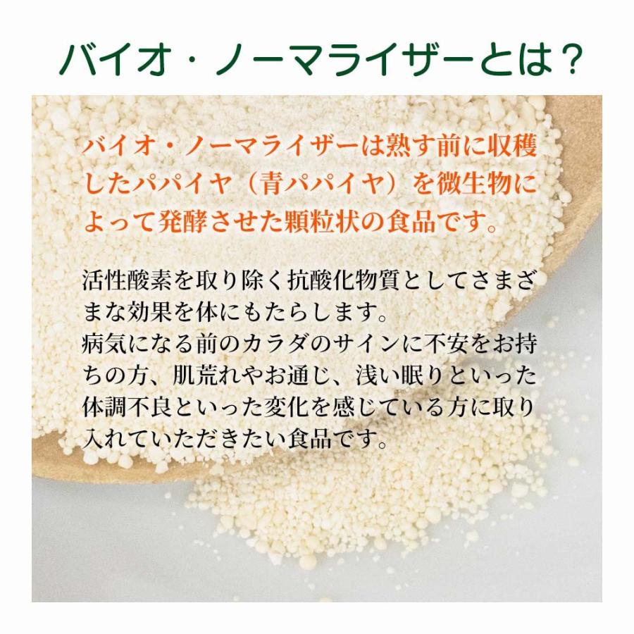 バイオ・ノーマライザー 青パパイヤ酵素（3g×30包） |  | 05
