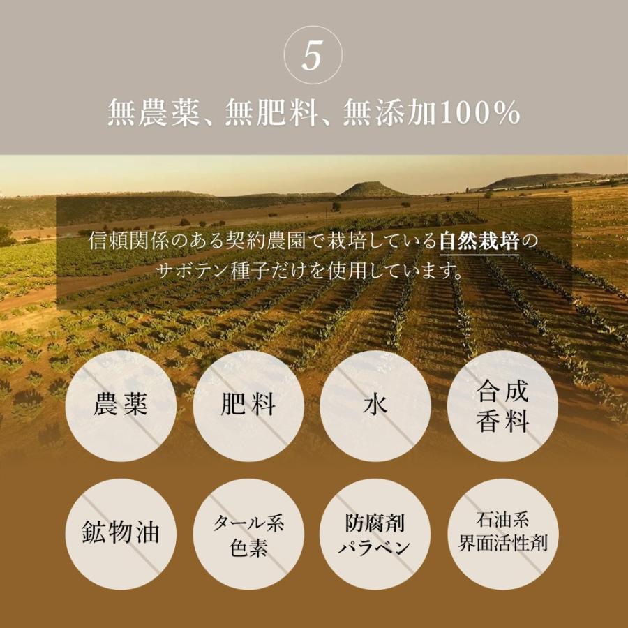 ウチワサボテン種子オイルのみを100%使用した、効果の高いオイル（香りづけなし）CACTIシードオイル100 |  | 12
