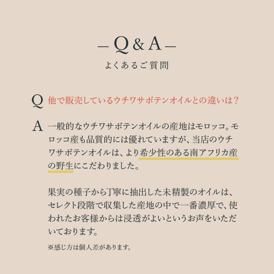 ウチワサボテン種子オイルのみを100%使用した、効果の高いオイル（香りづけなし）CACTIシードオイル100 |  | 16