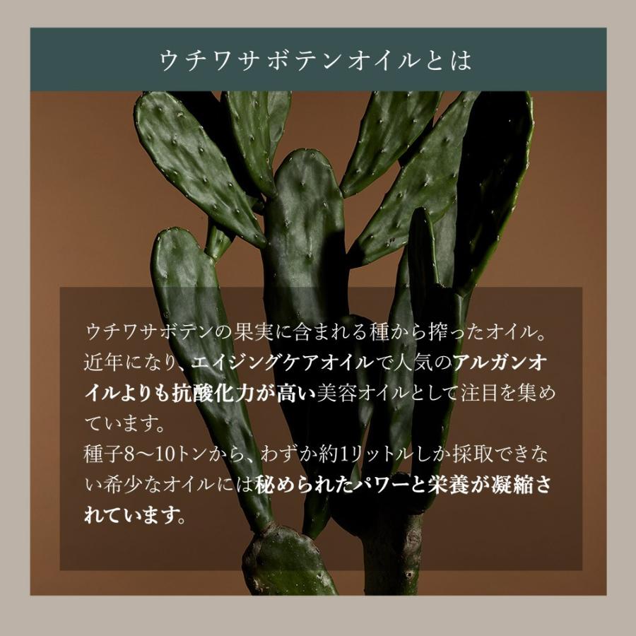ウチワサボテン種子オイルのみを100%使用した、効果の高いオイル（香りづけなし）CACTIシードオイル100 |  | 06